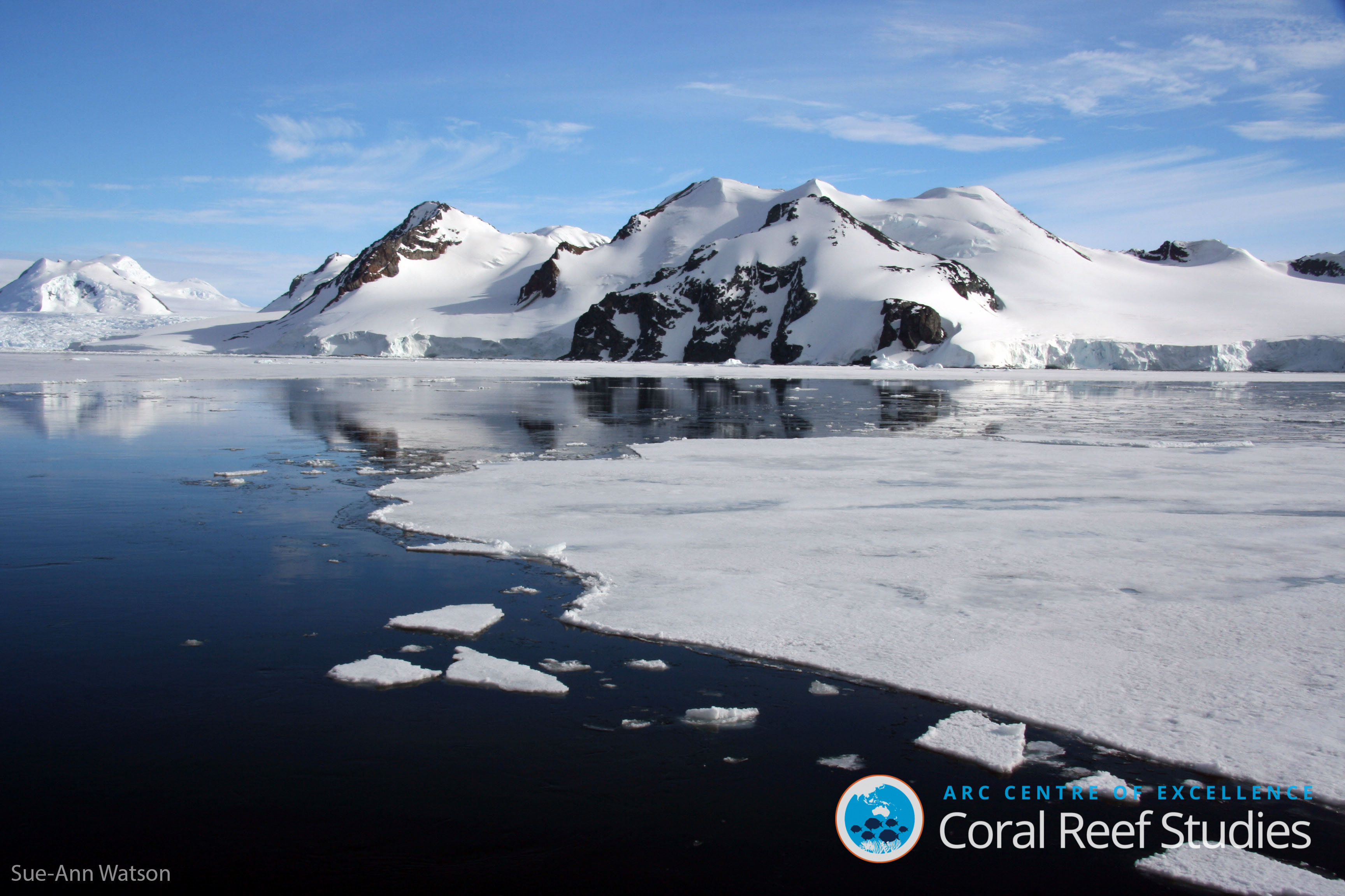 Antarctic