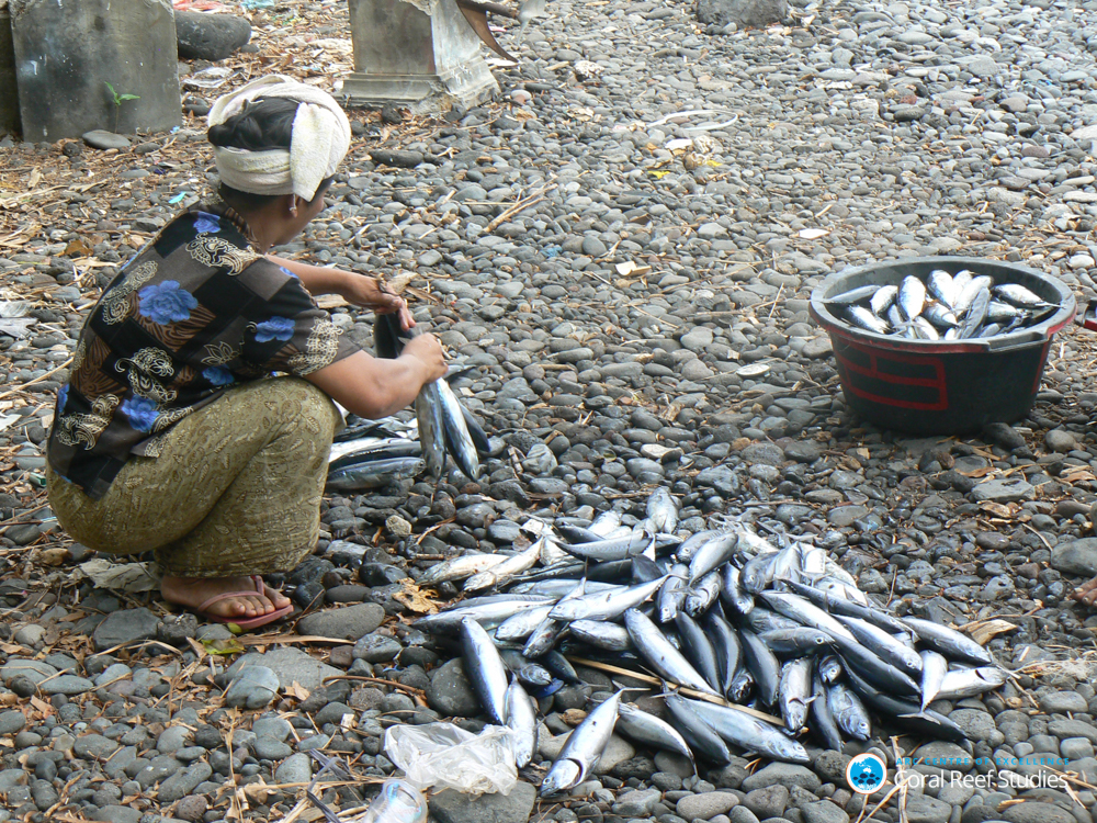 Fishing Indonesia
