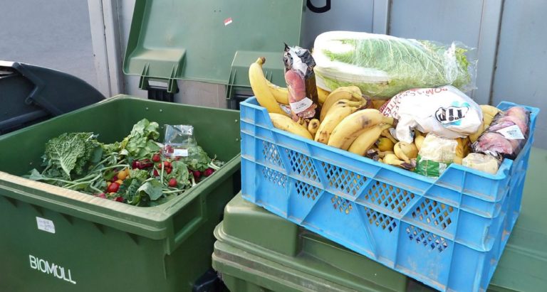 Food waste