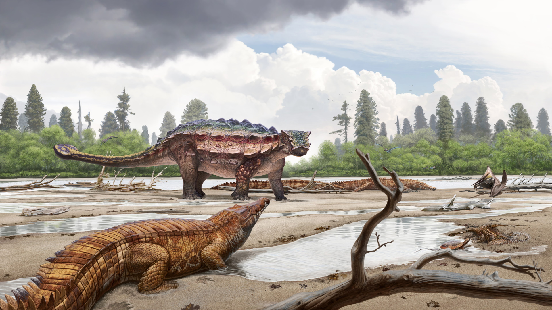 Dinosaur