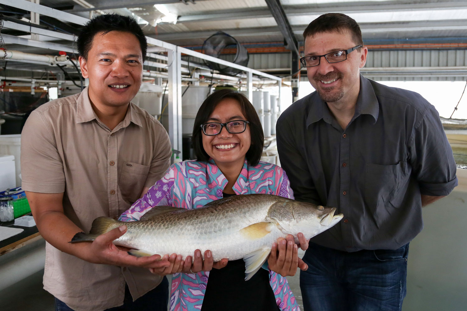 Two men and one woman hold a barramundi