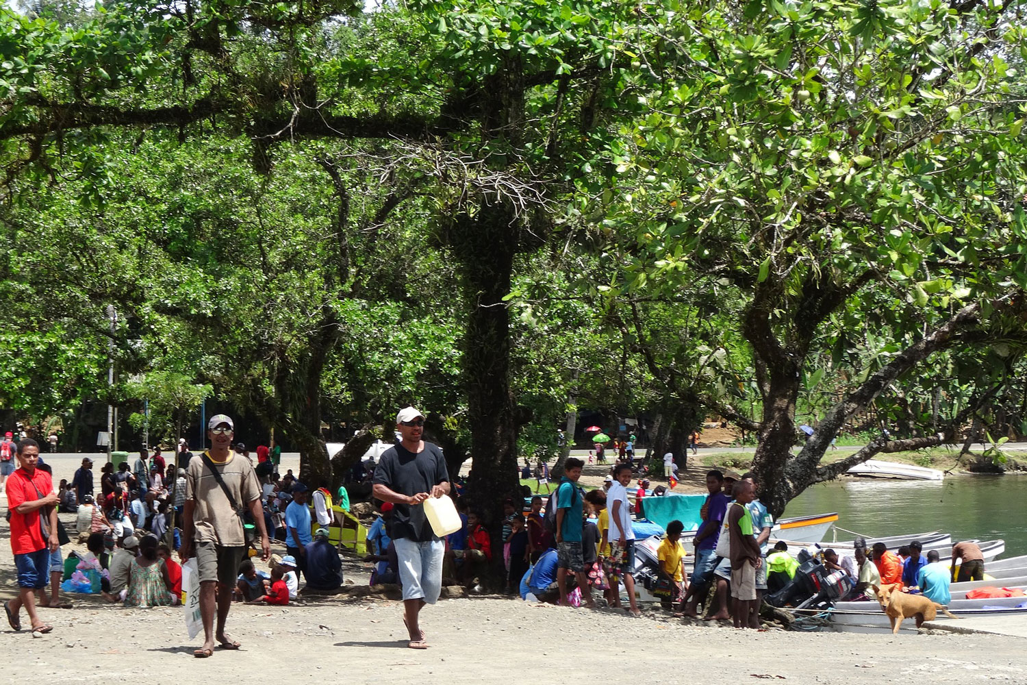 People gathered by river. 