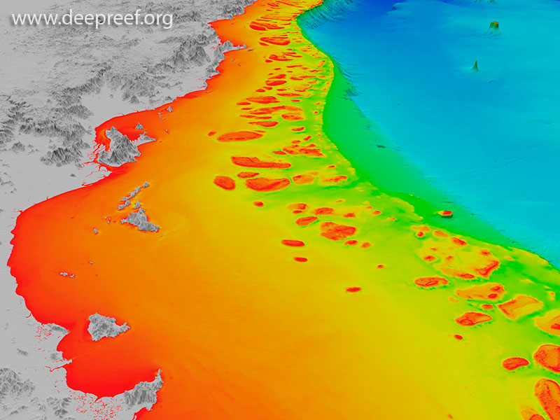 Townsville reef