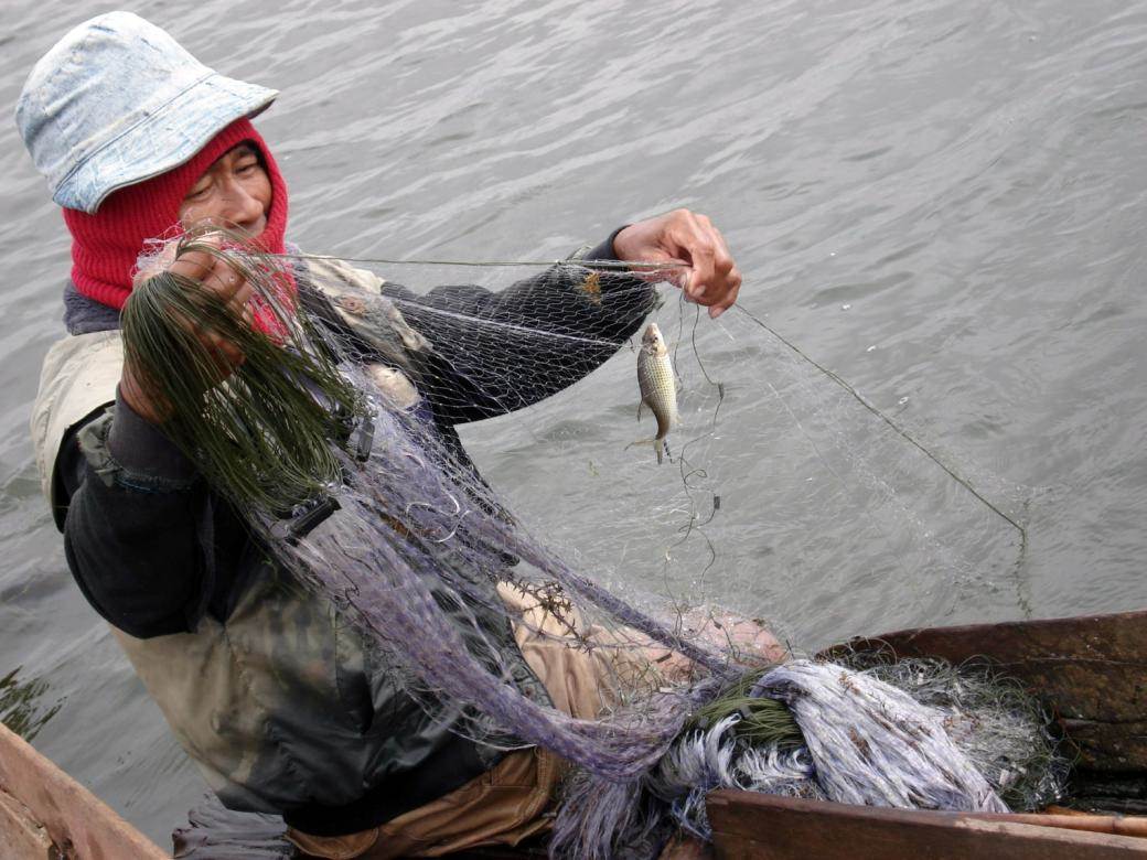 Fisherman