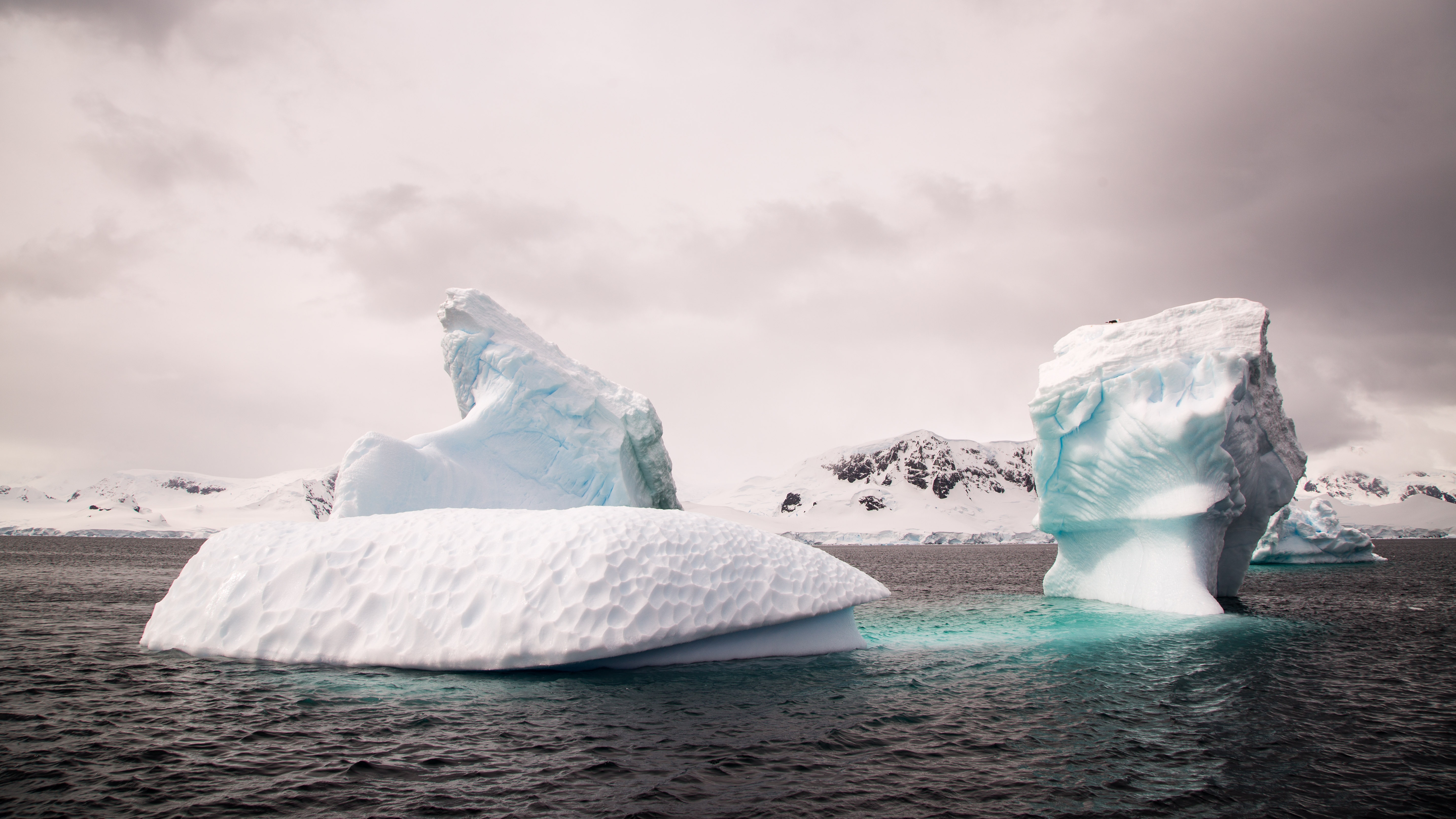 Antarctica