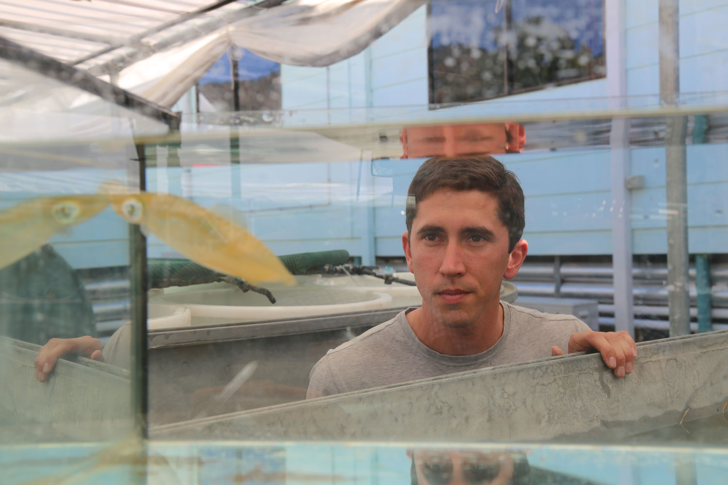 Blake looks at a squid in a tank