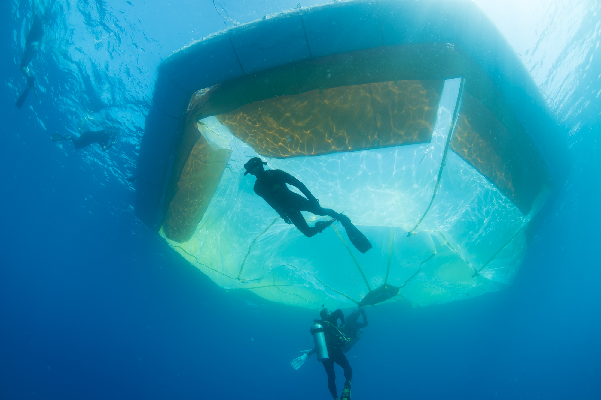 Coral restoration