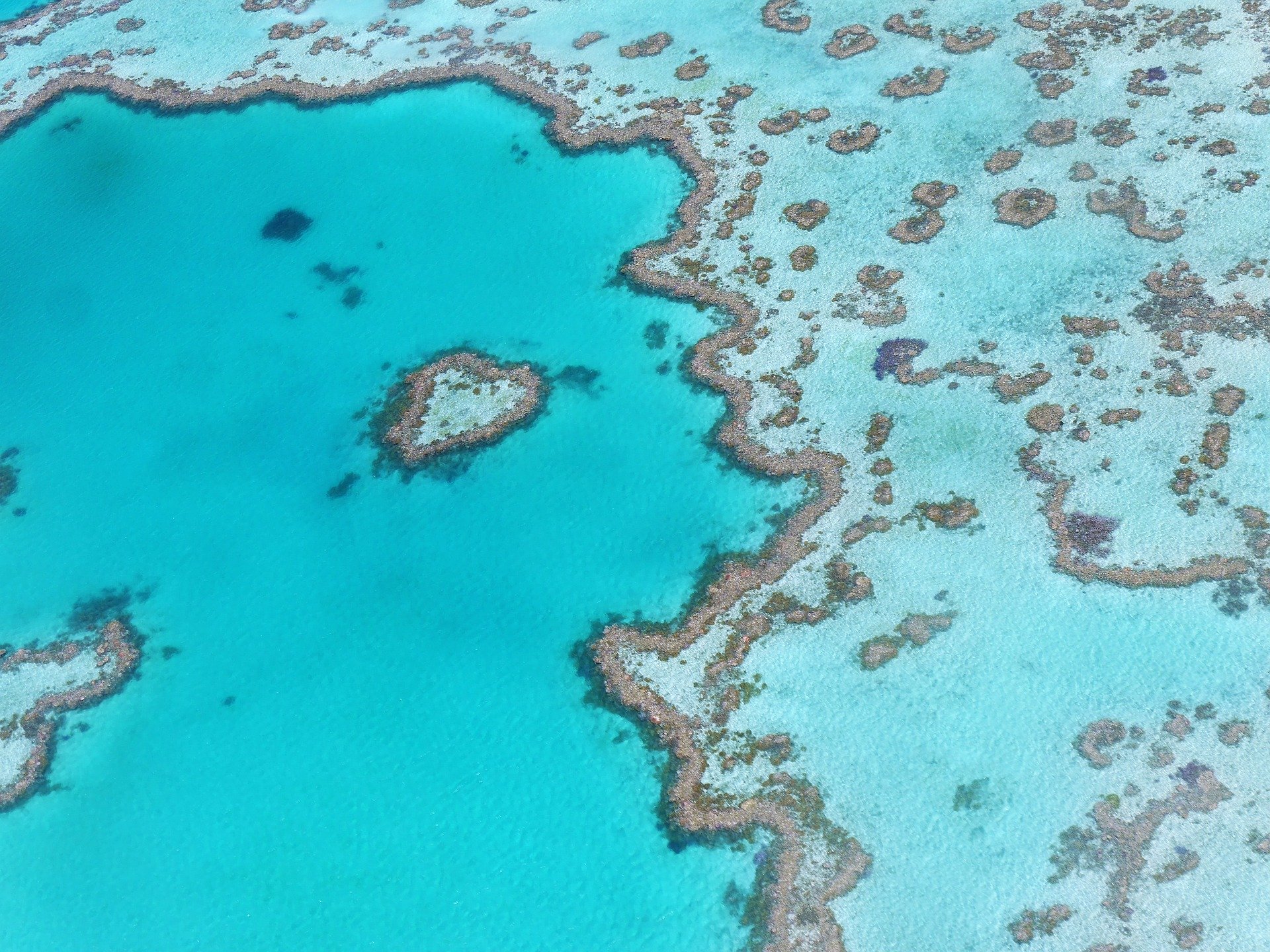 Heart Reef