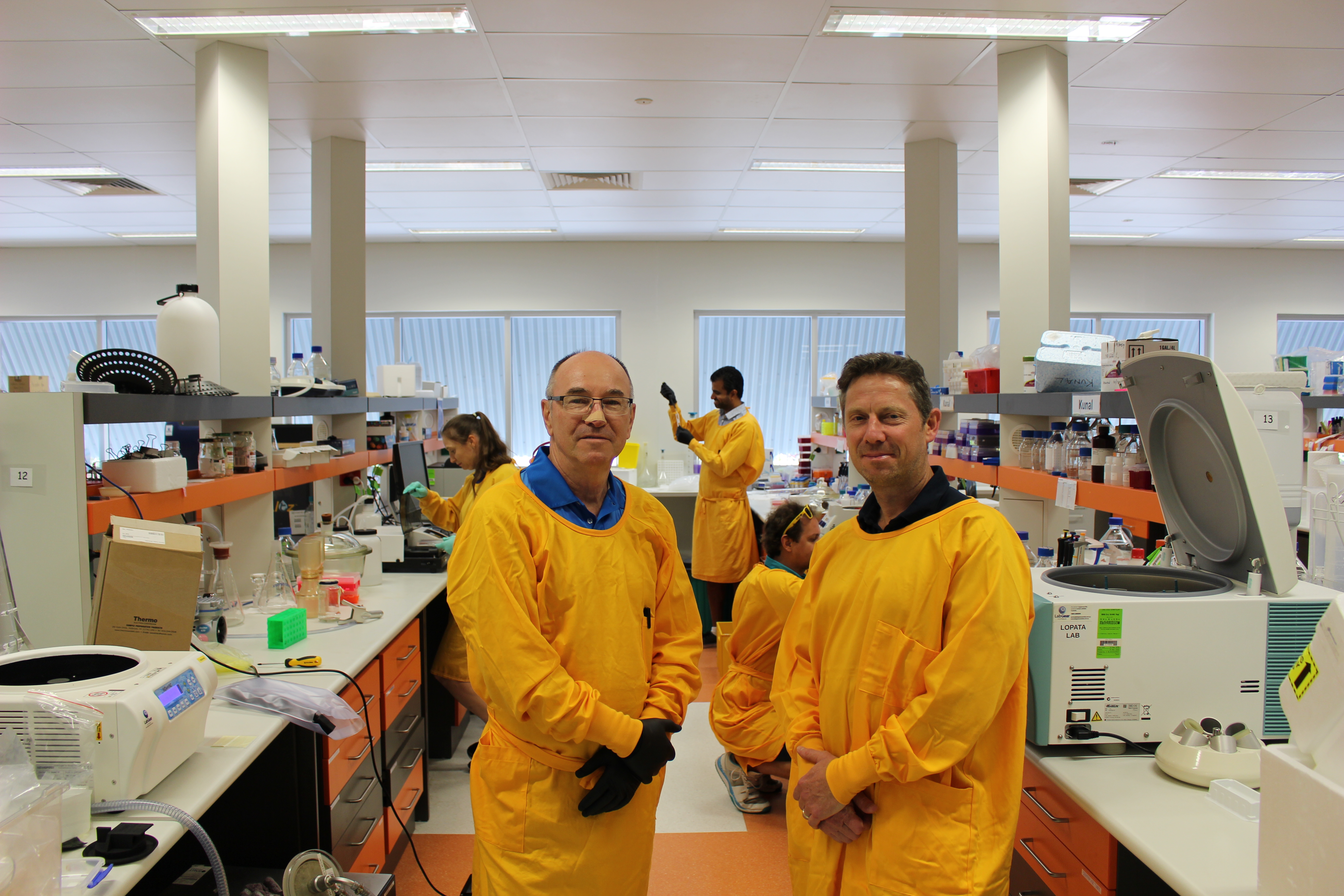 Lab