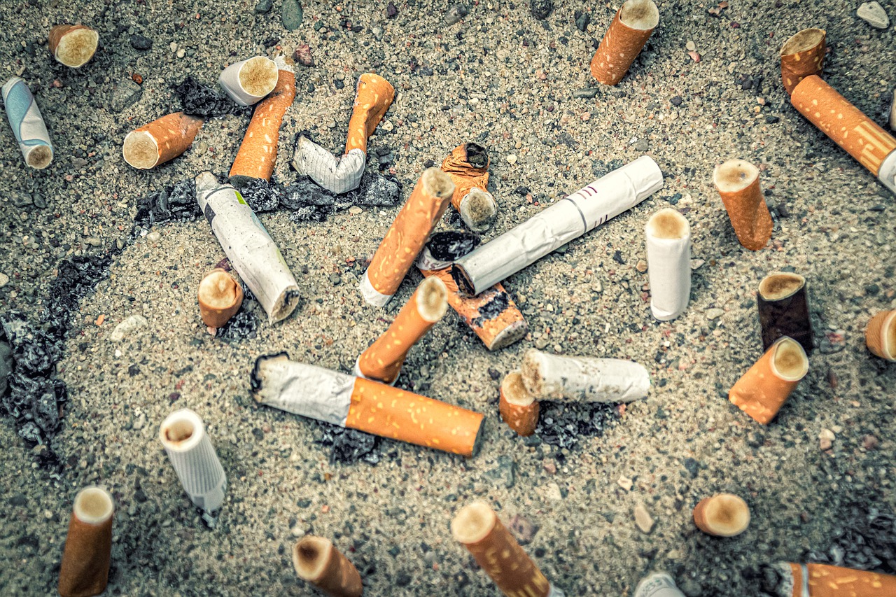 Litter-ly lazy in Cairns - Oct 2019