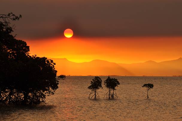 Sunset on the reef. 