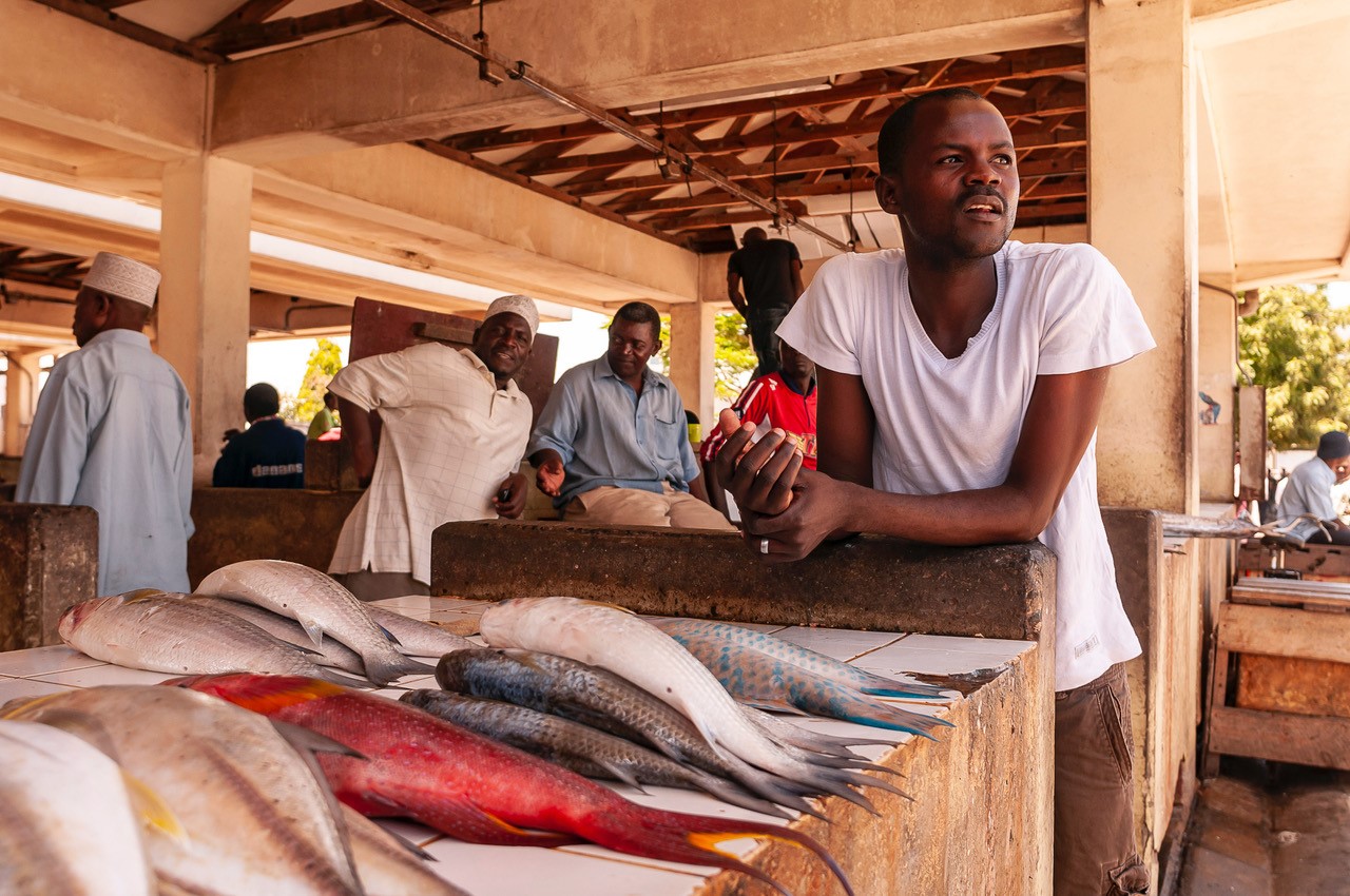 Fish market