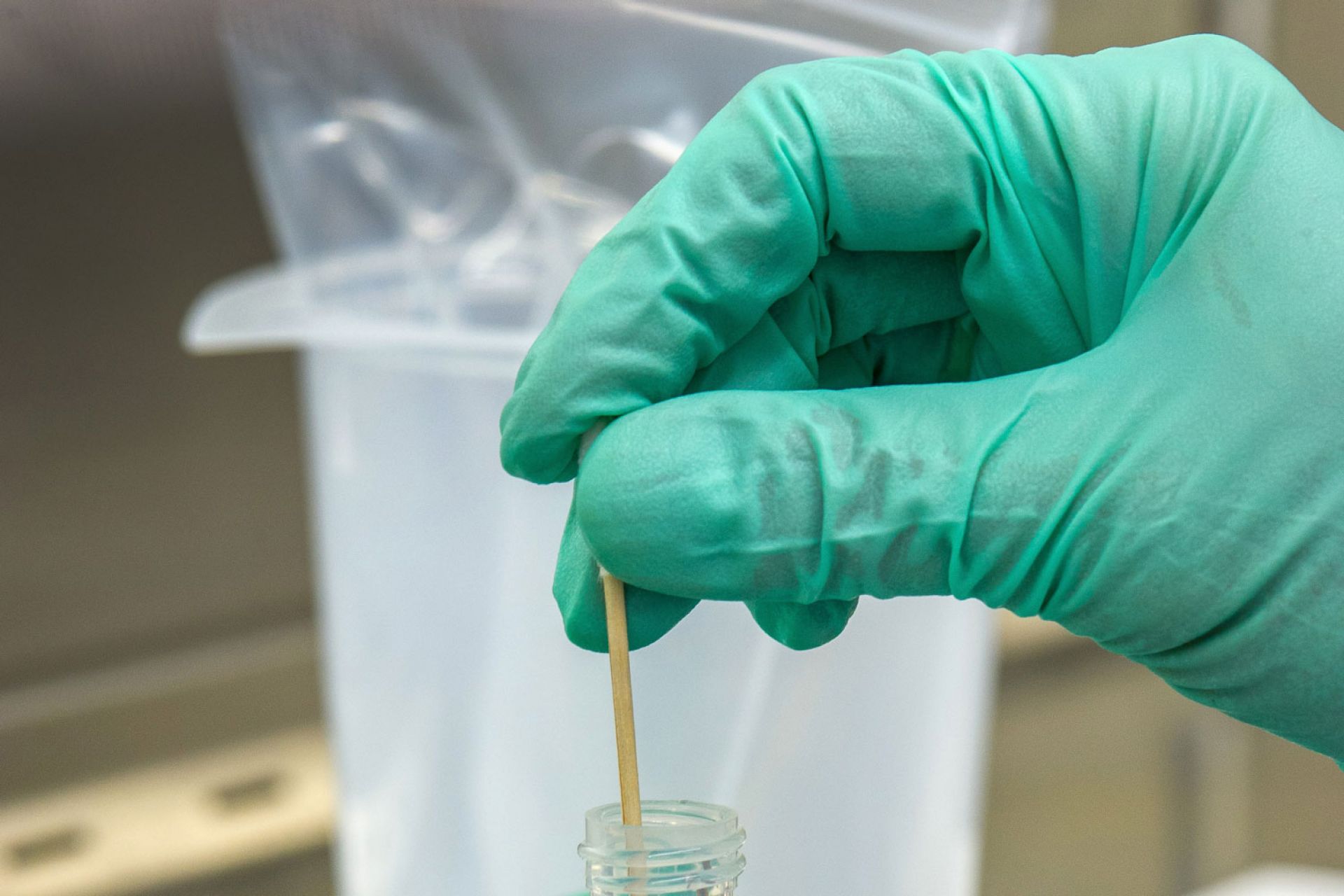hand wearing a green surgical glove holding the handle end of a swab