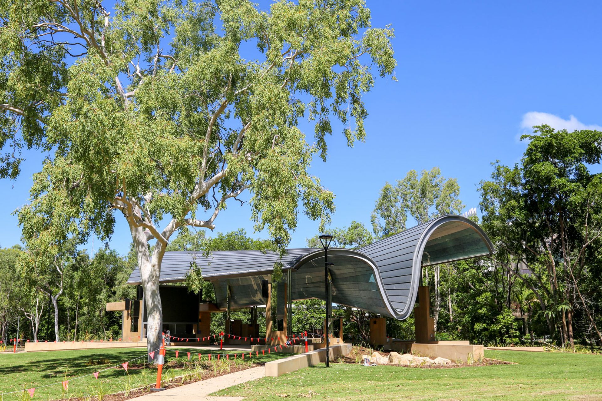 Looking across green grass, large tree in the foreground, to the wavy roof of the plaza in the background