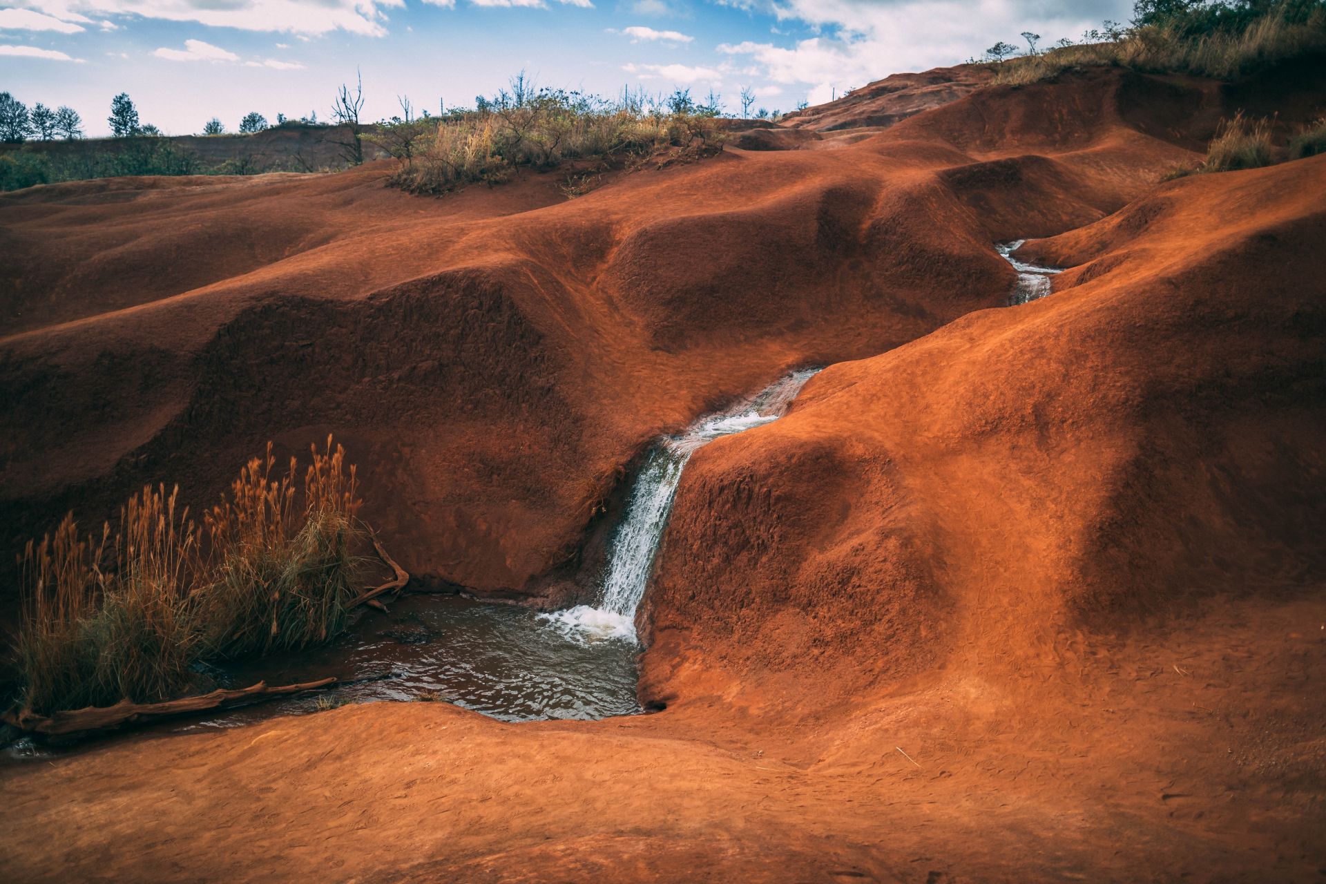 Water hole
