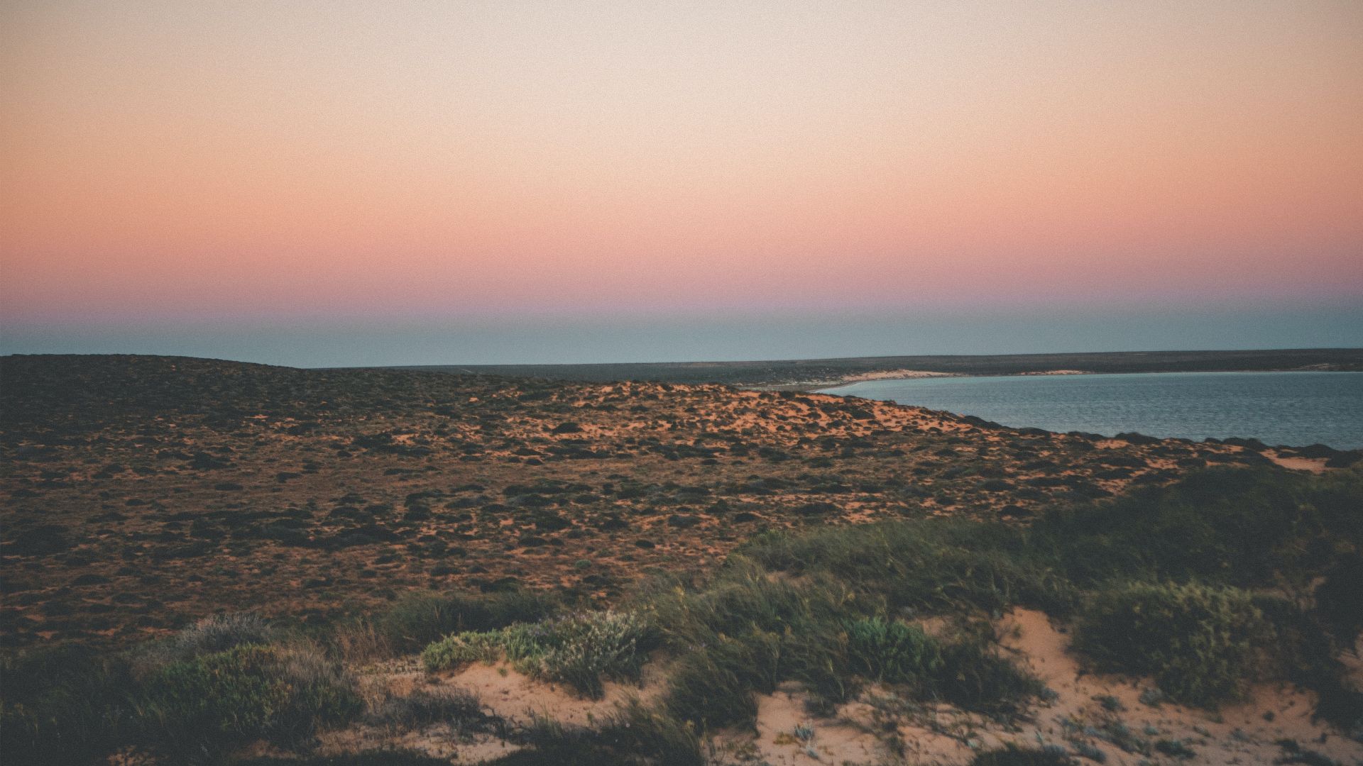 Shark Bay