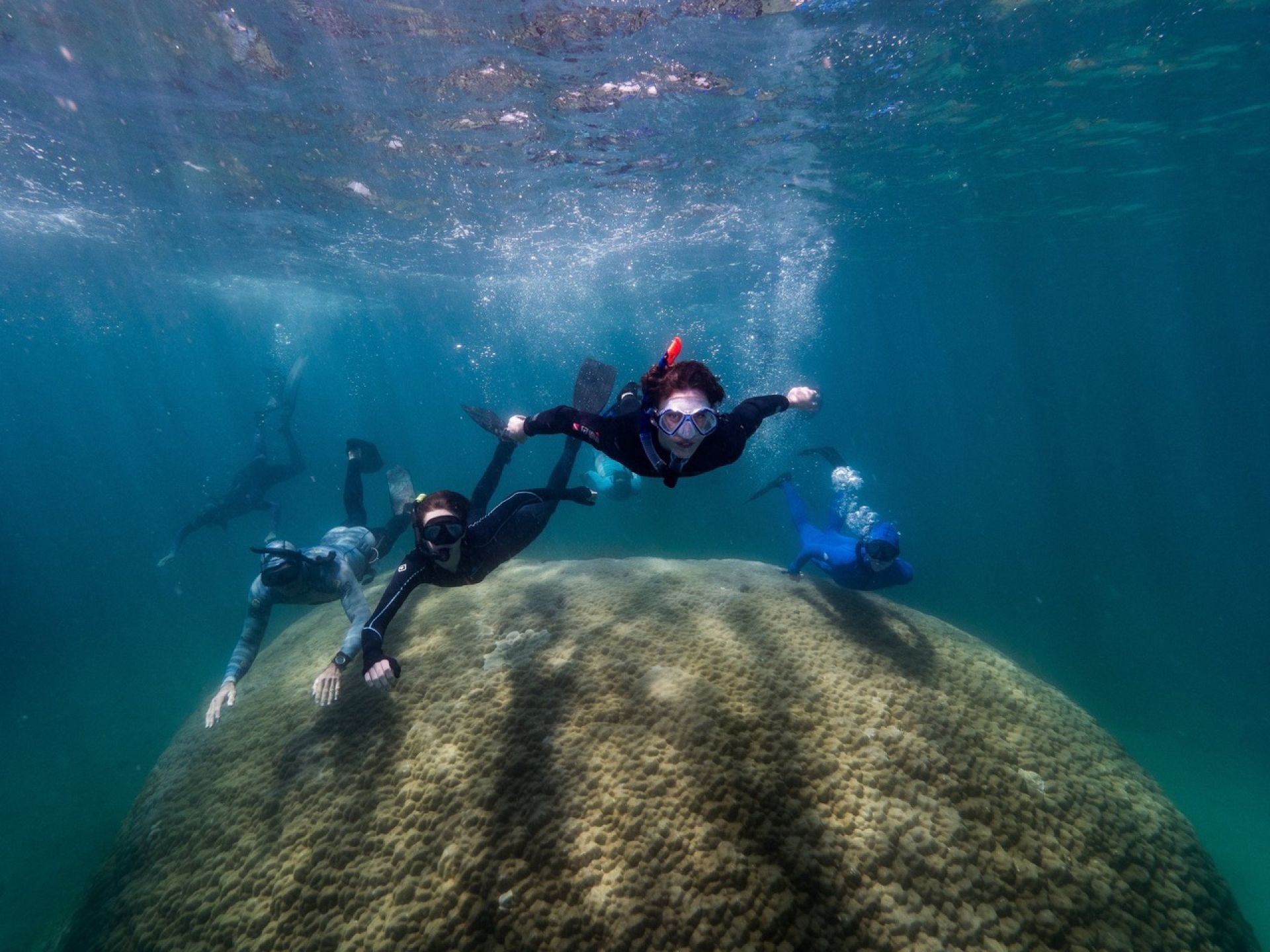 Big coral