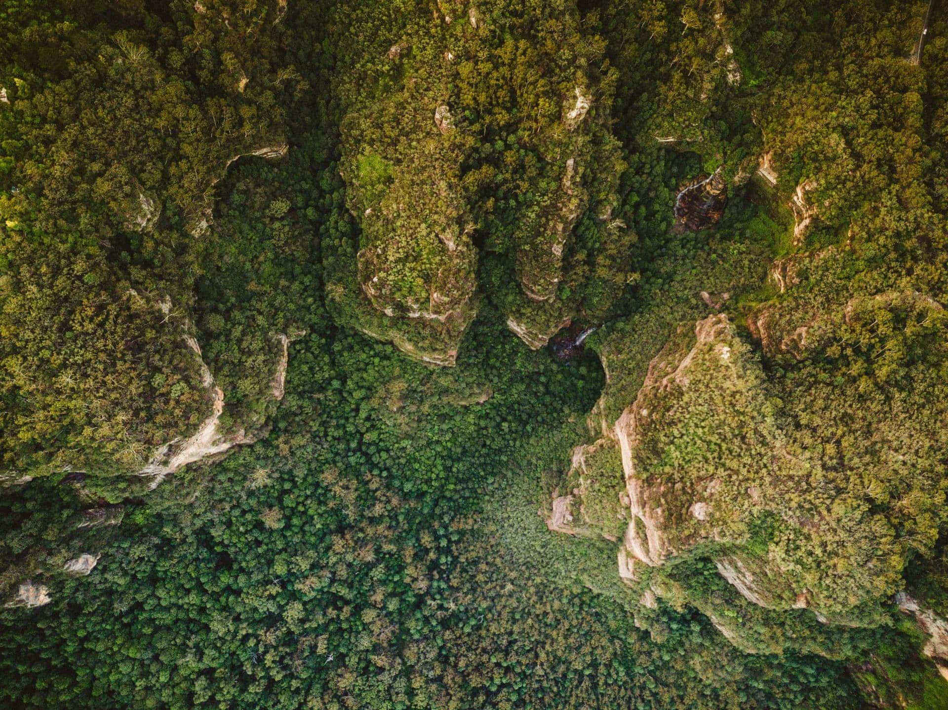 Birds eye view of the bush. 