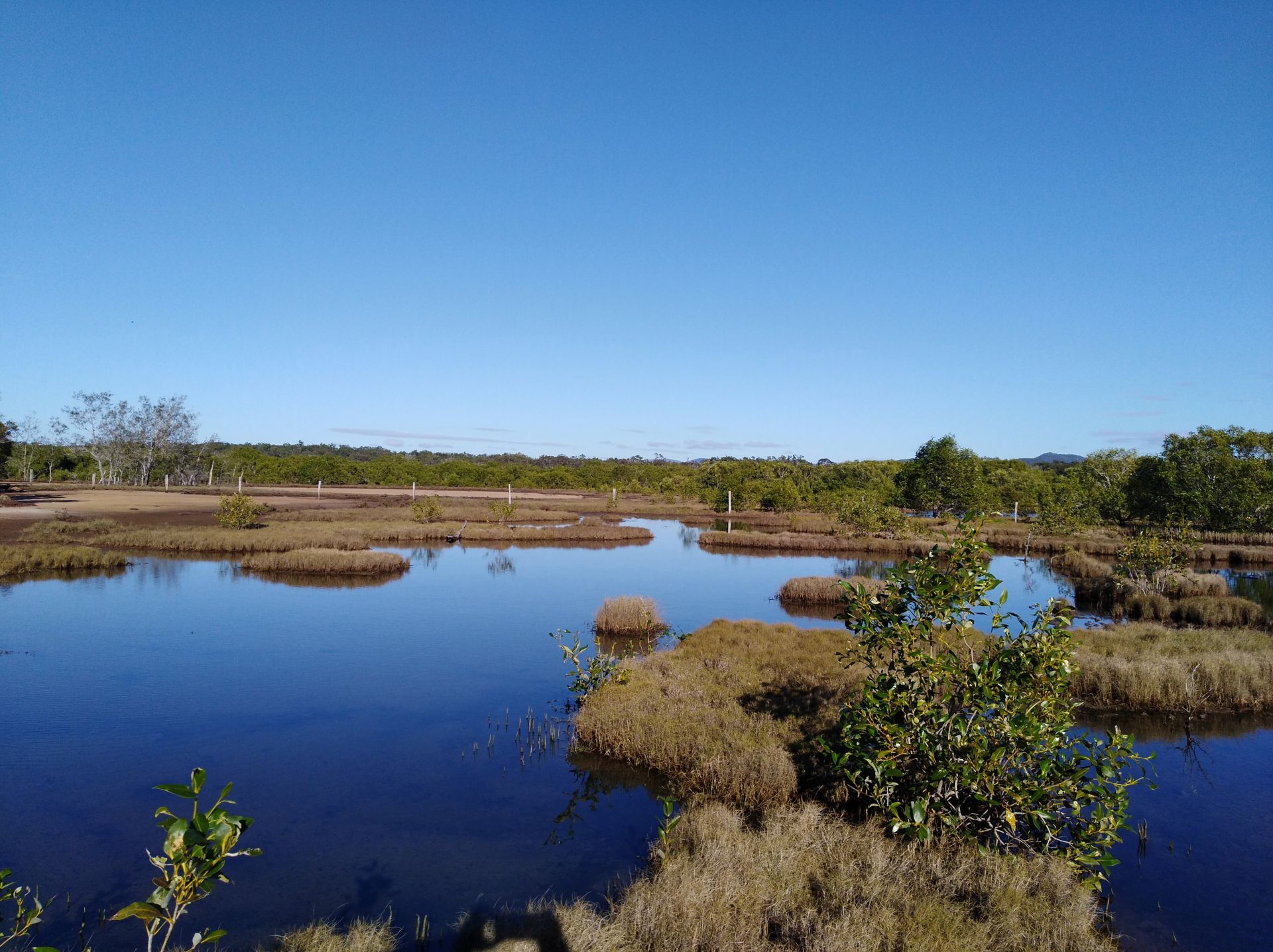 Wetland
