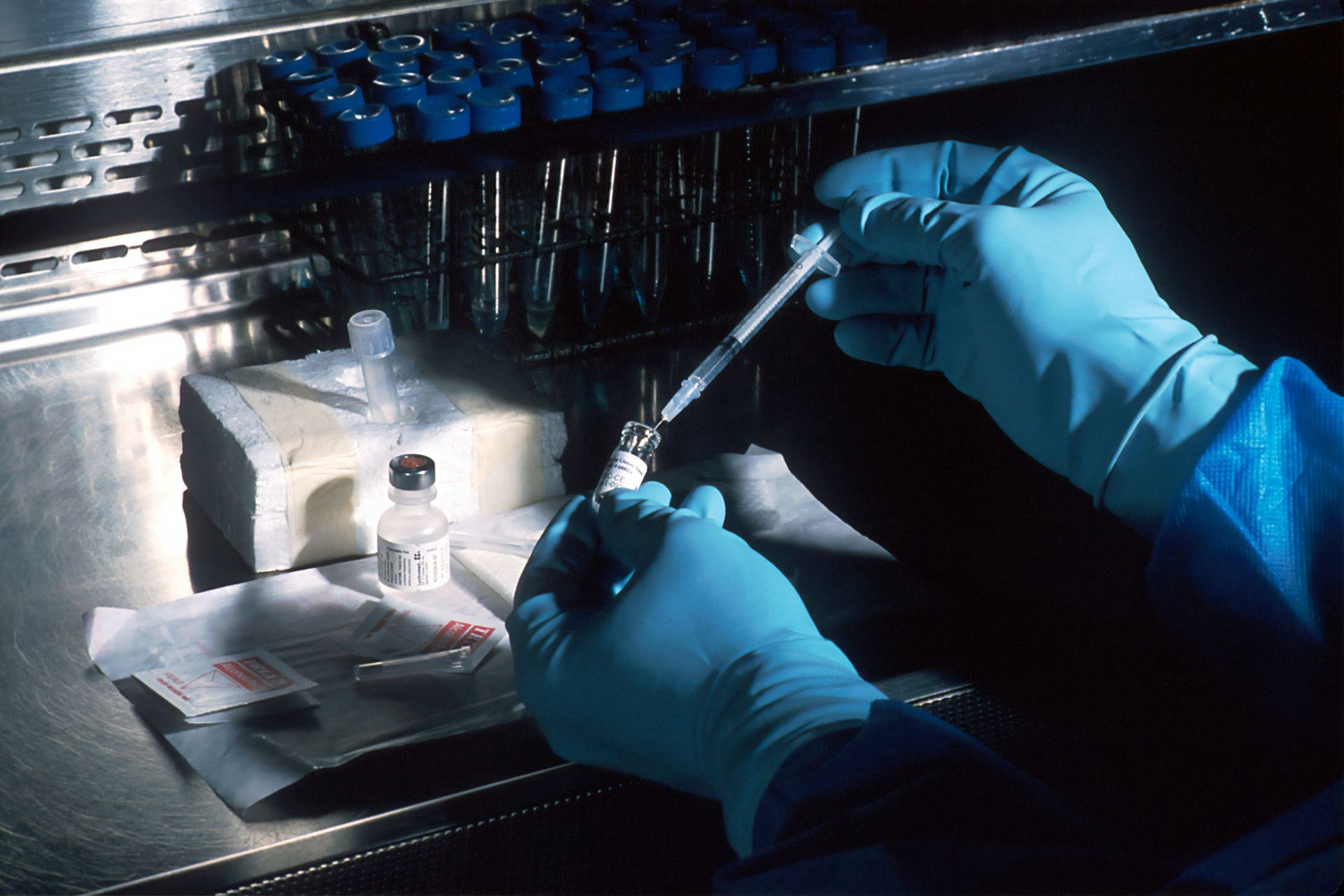 Lab