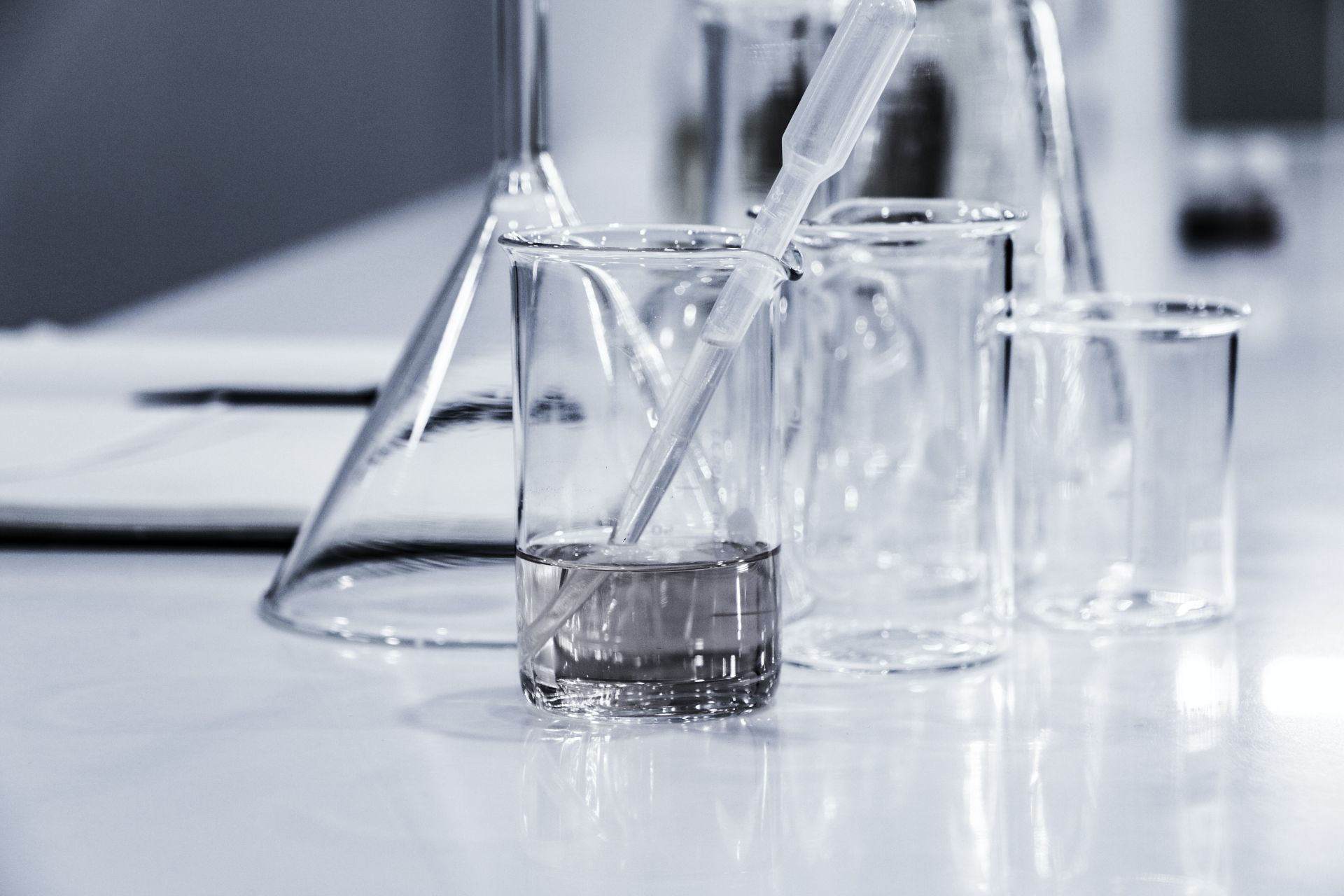 Lab