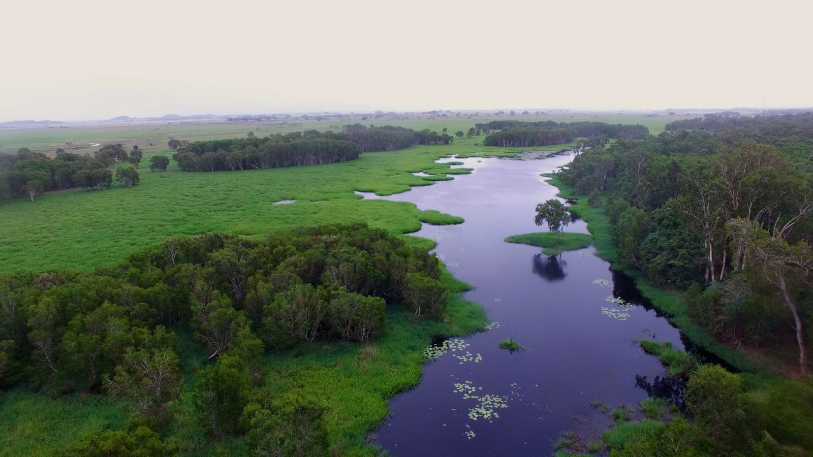 Wetland