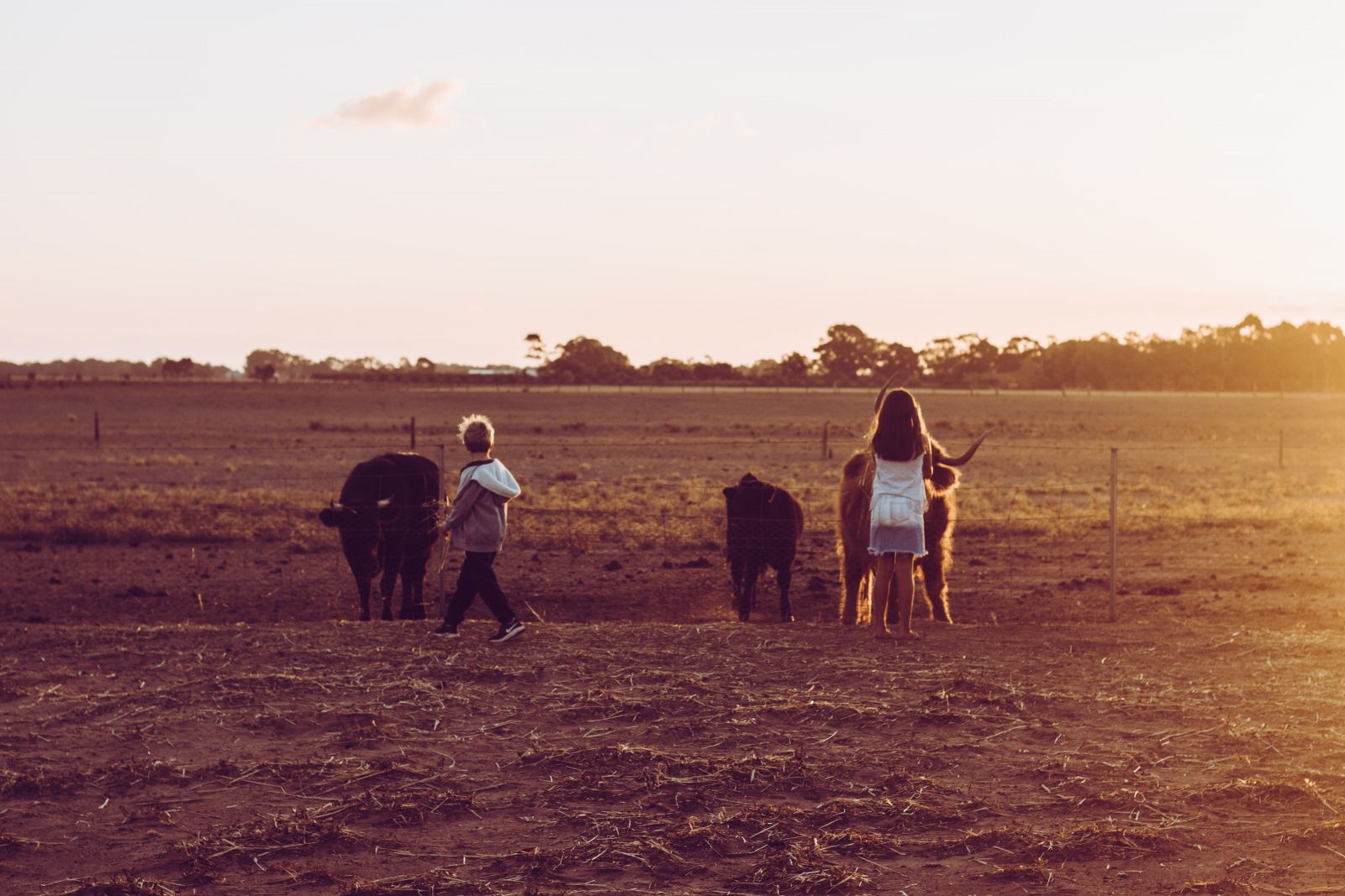 Farm