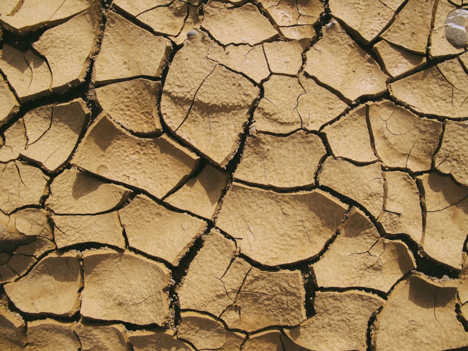 alt text dry main