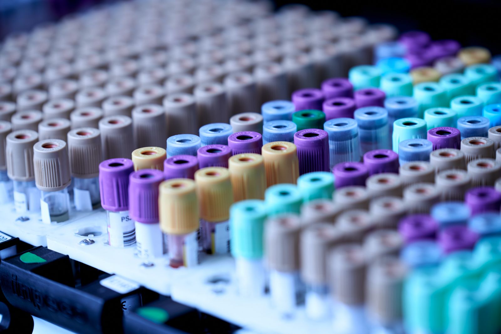 Test kit