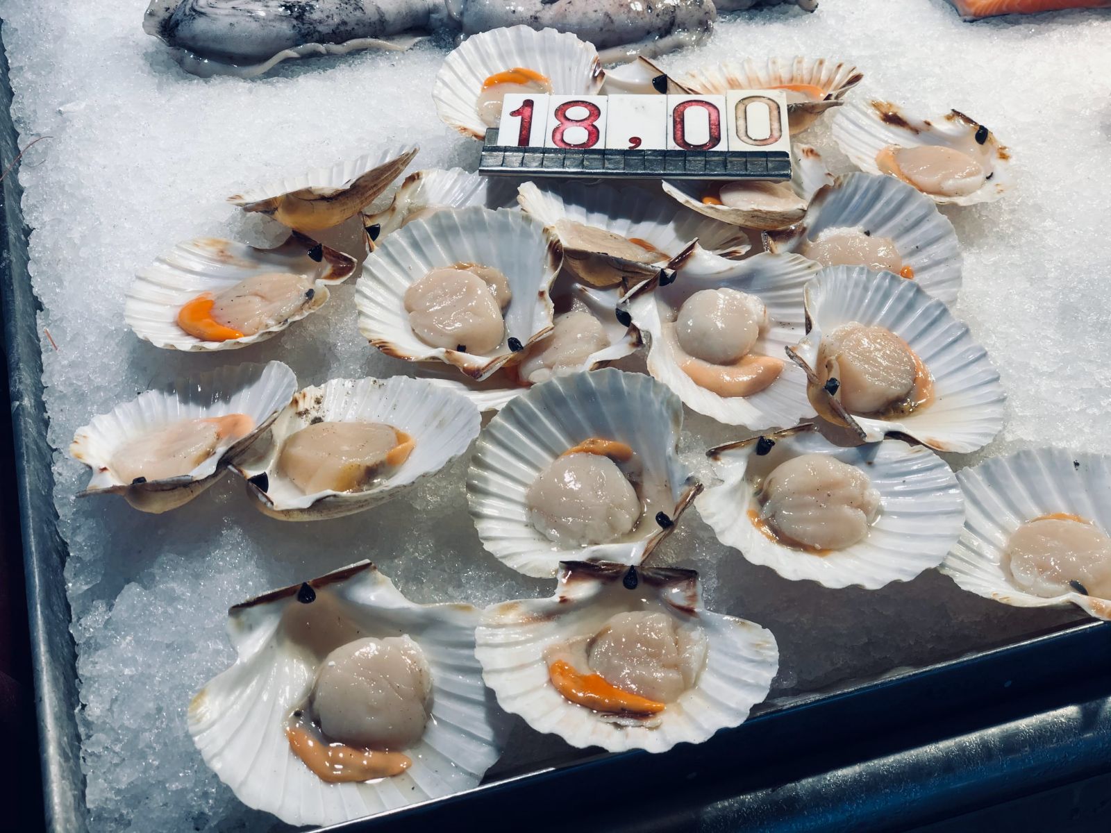 Scallops