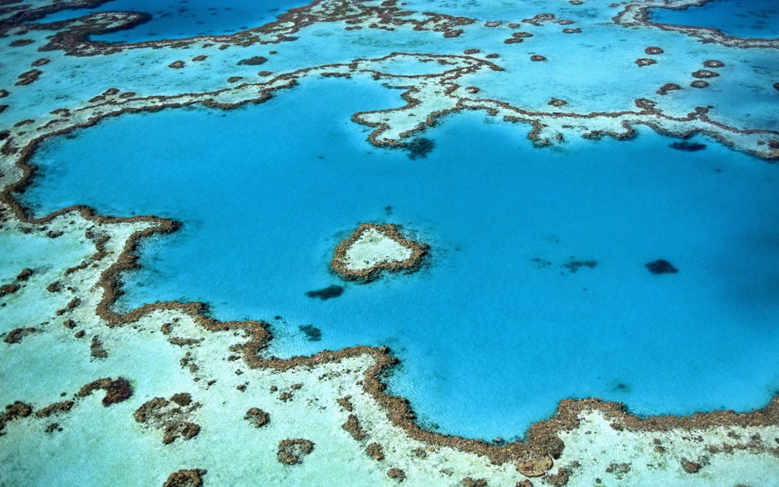 Reef