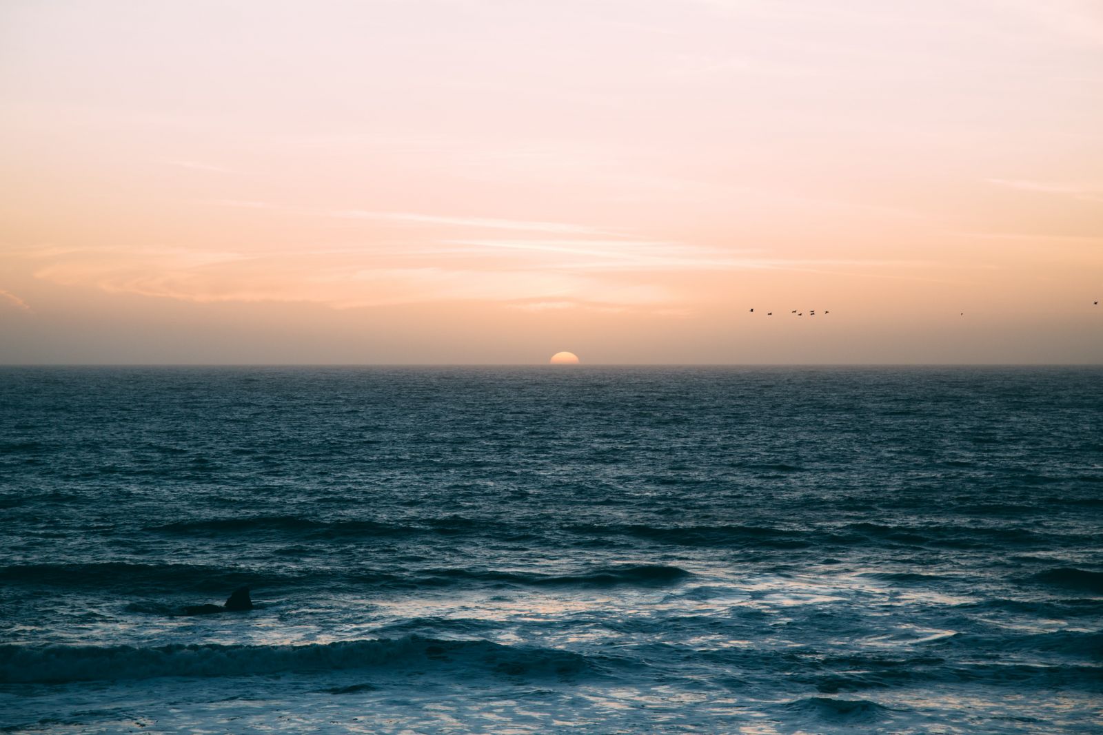 Ocean