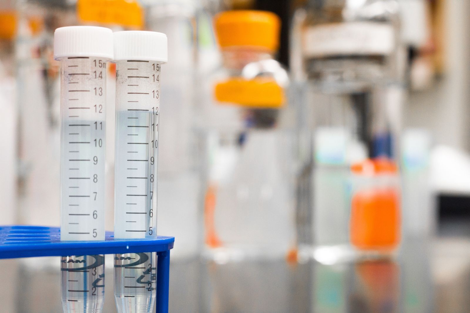 Liquid biopsies using microRNAs have the potential to enable screening programs and the monitoring of treatment effects and disease progression.