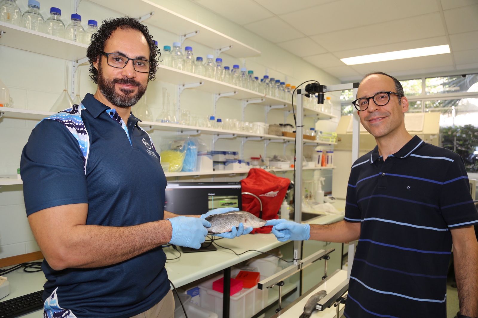 JCU PhD Candidate Alzayat Saleh and Associate Professor Mostafa Rahimi Azghadi with their prototype Mobile Fish Landmark Detection network.