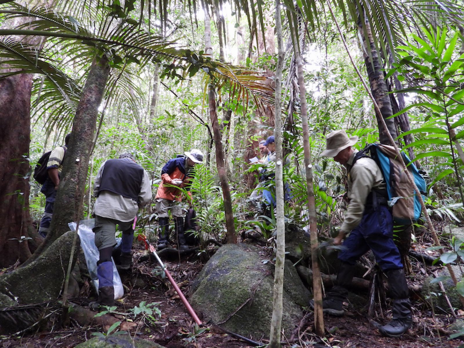 Project team in the field