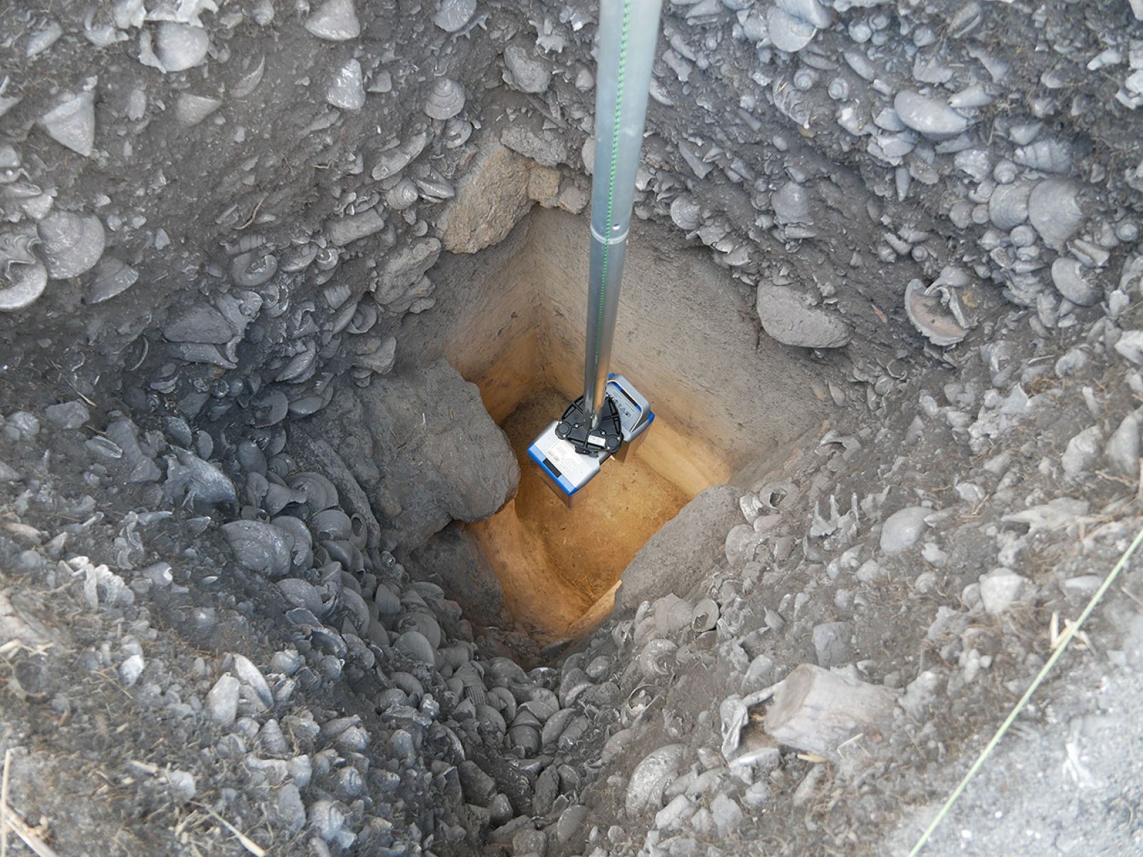 Laser scanner