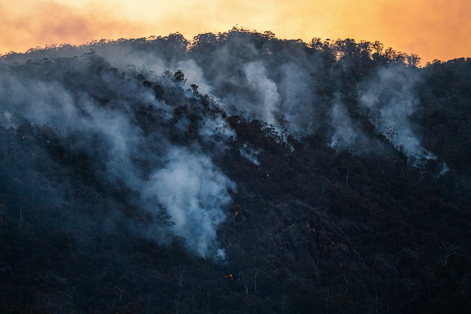 Bush fire