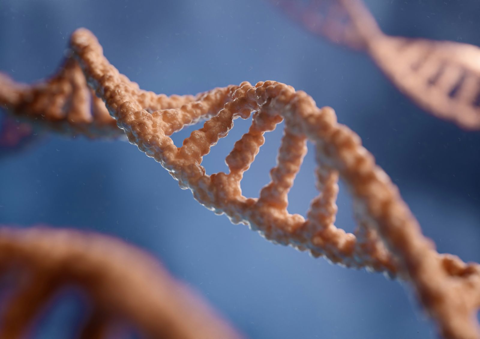 Genome