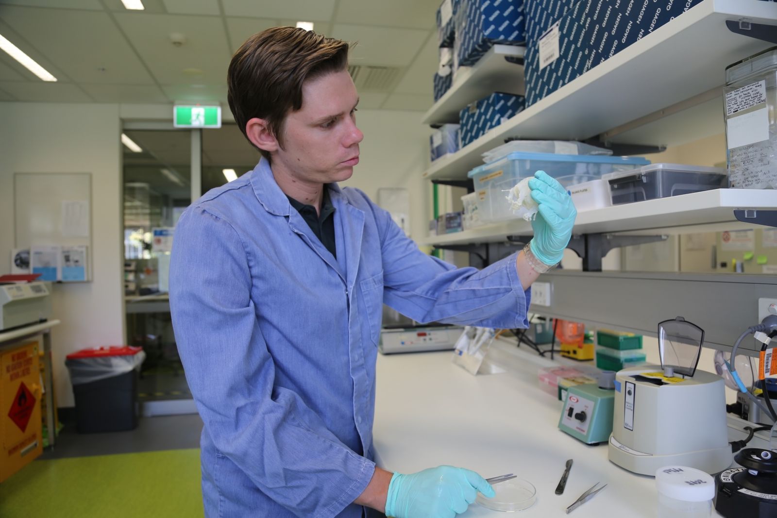 JCU PhD candidate Scott Morrissey examines an Australian box jellyfish specimen in the lab.