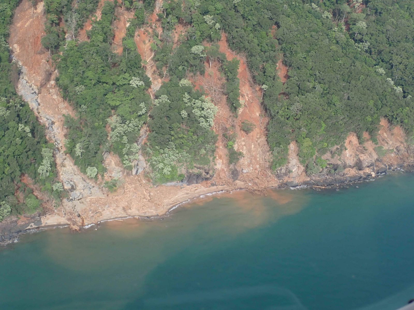 Cedar Bay
