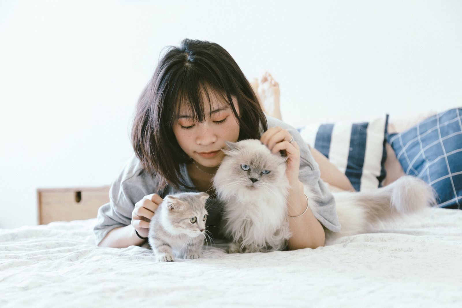 Concern for pets’ safety and wellbeing and a lack of support are key factors that make people reluctant to leave their home when affected by domestic violence.