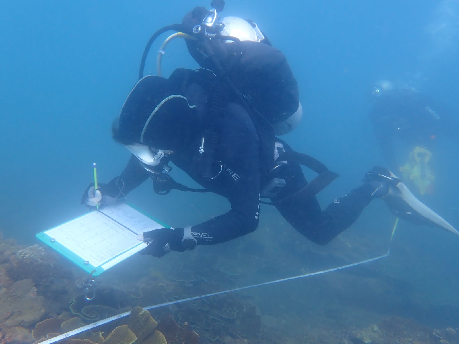 Diver