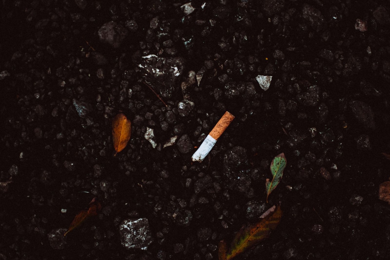 A photo of cigarette butts.
