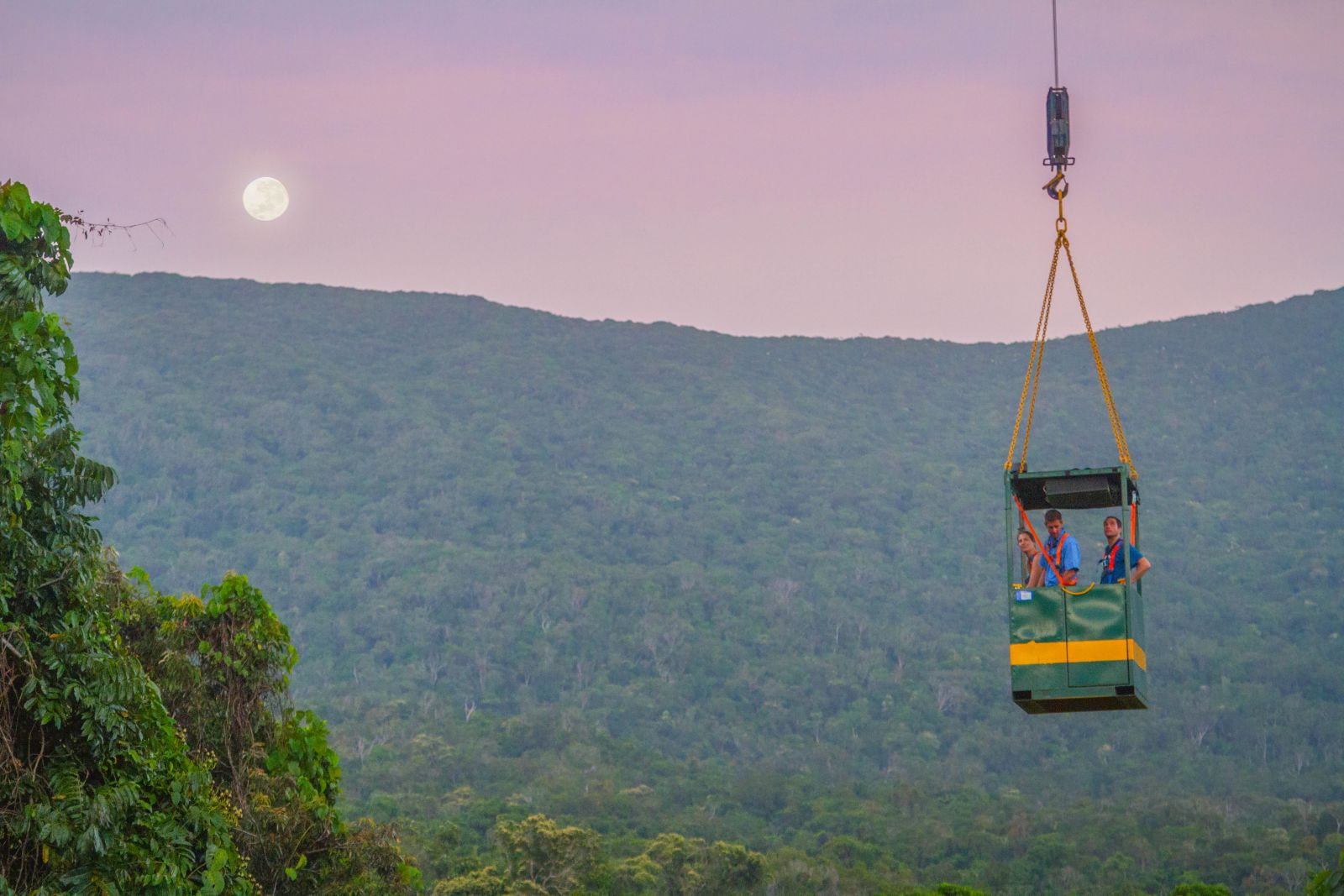 Canopy crane