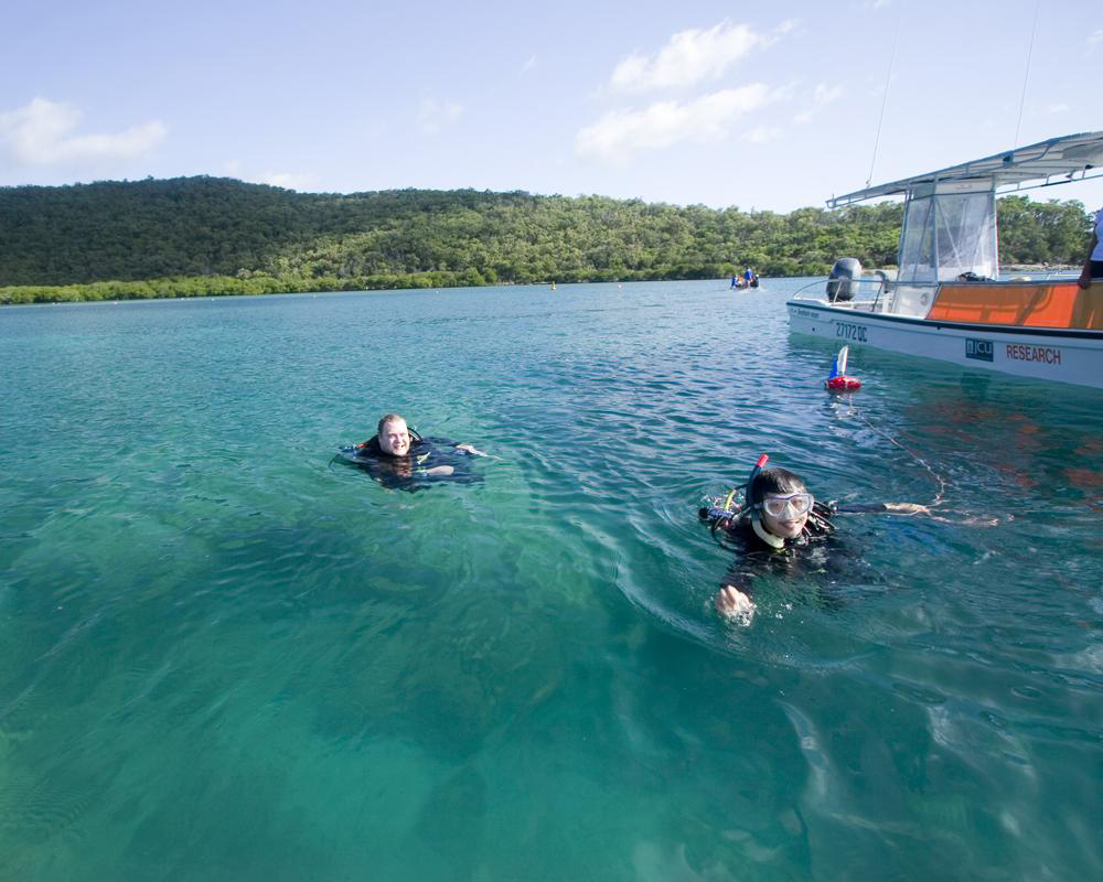 Diving at Orpheus Island