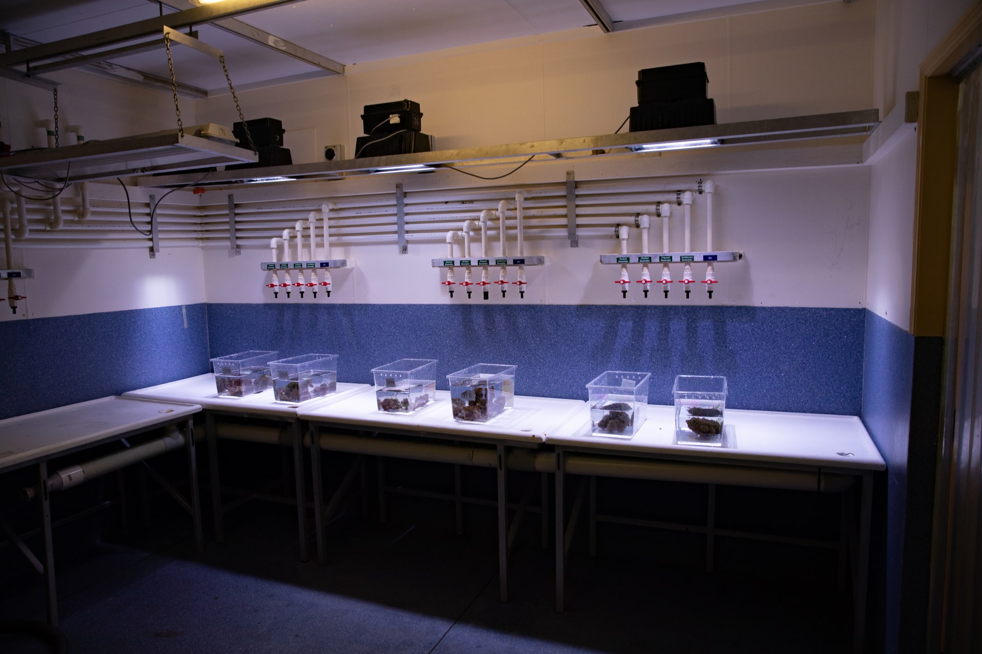 photo of TCR room. 