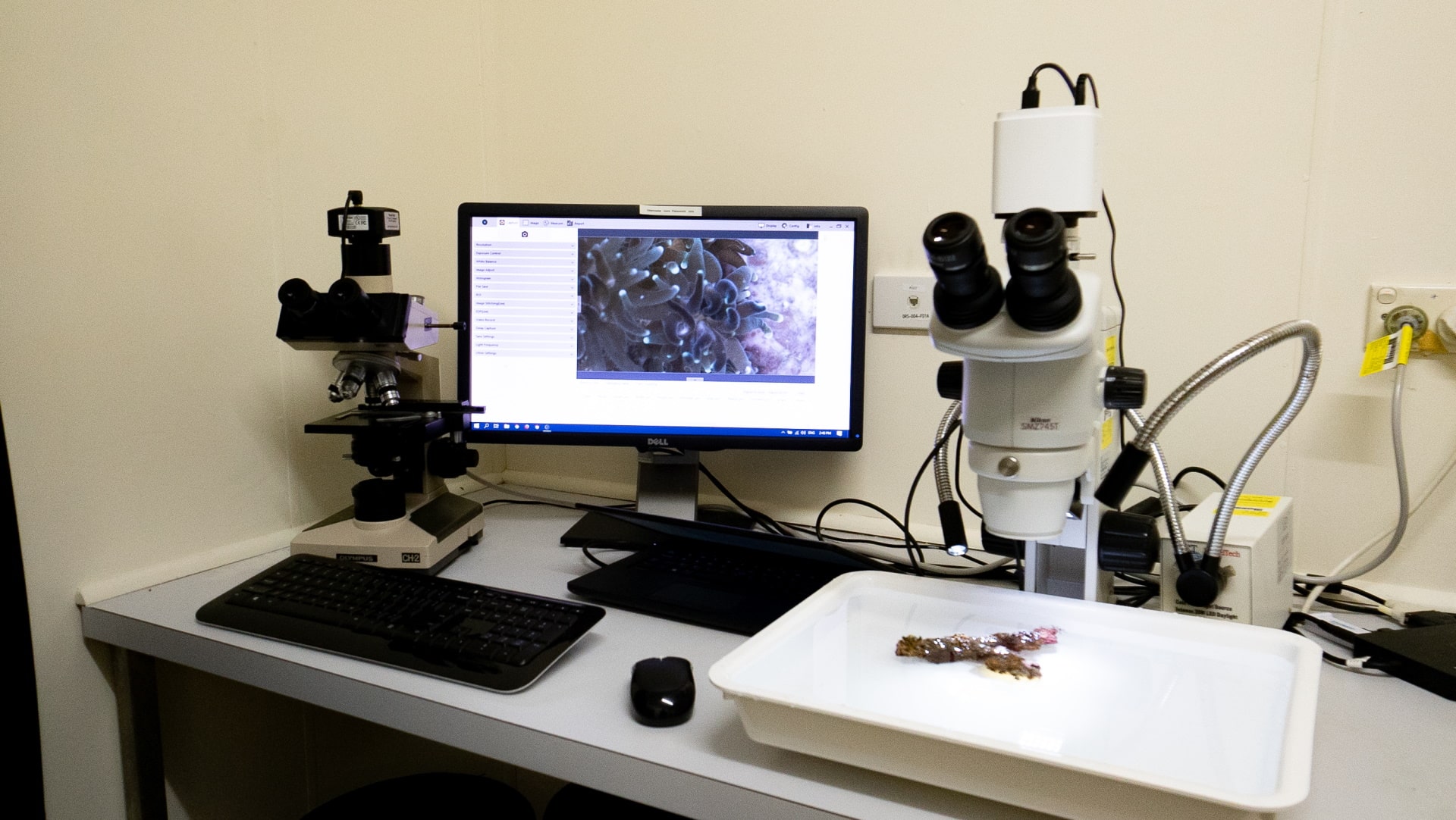 Microscope