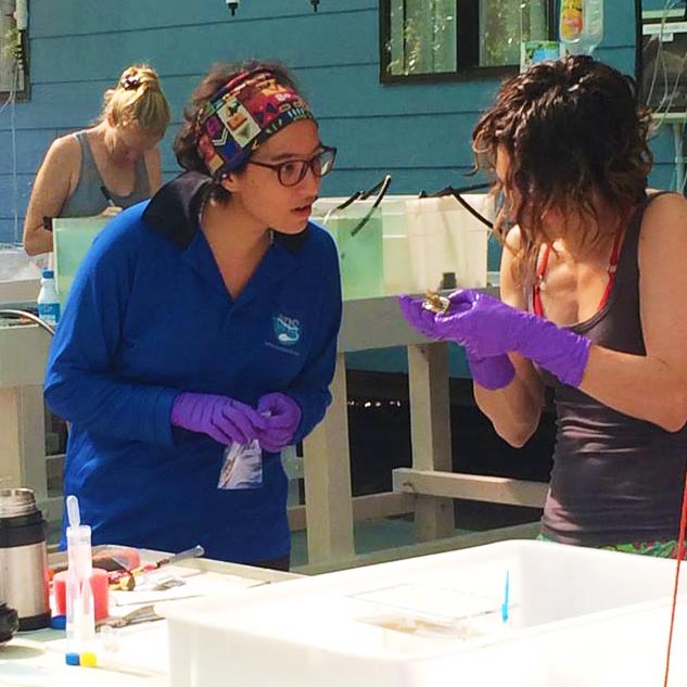 Researchers work in the wet lab