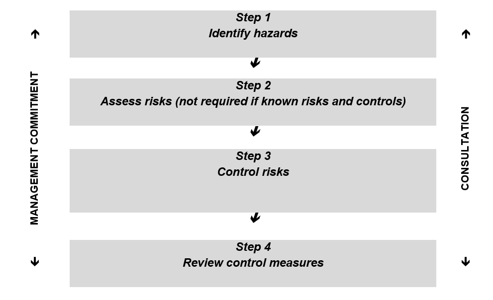 Figure 1 The risk management process