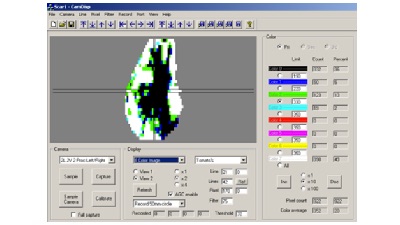 RAU avocado scan graphic